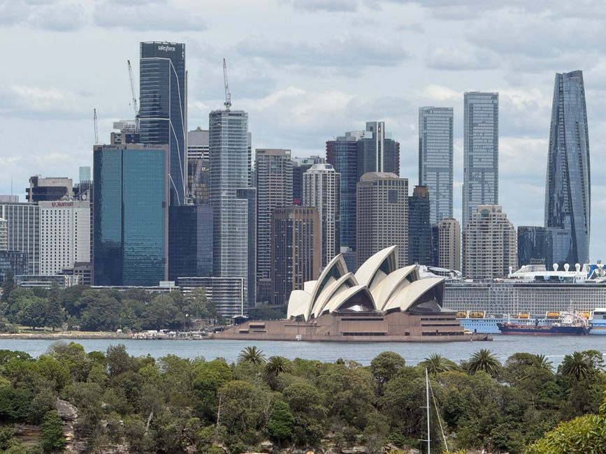 Sydney Officials, Experts Clash Over Solutions to Housing Crisis