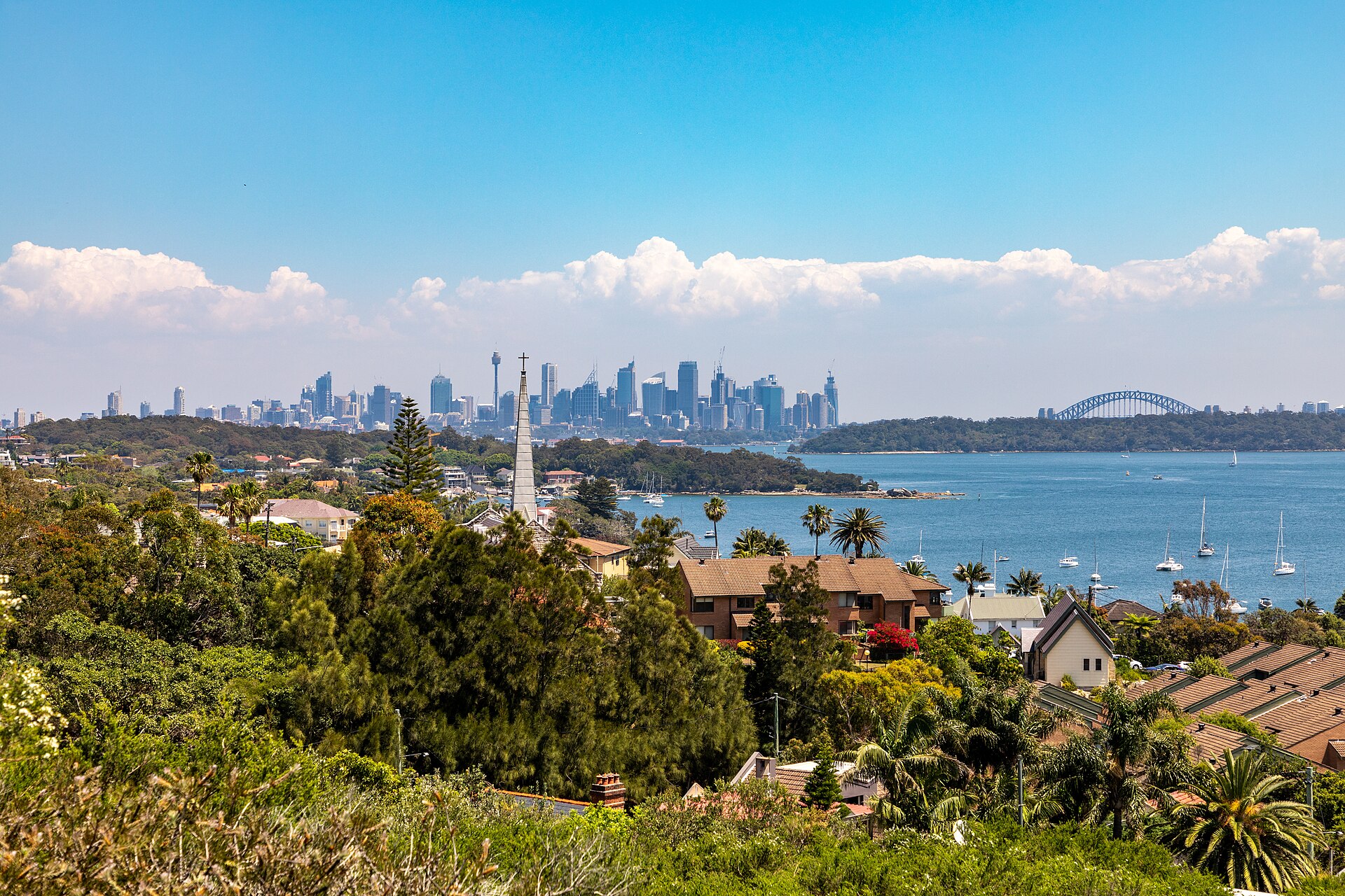 The Best Coastal and Harbour Walks in Sydney: A Local's Guide to the Routes Worth Doing